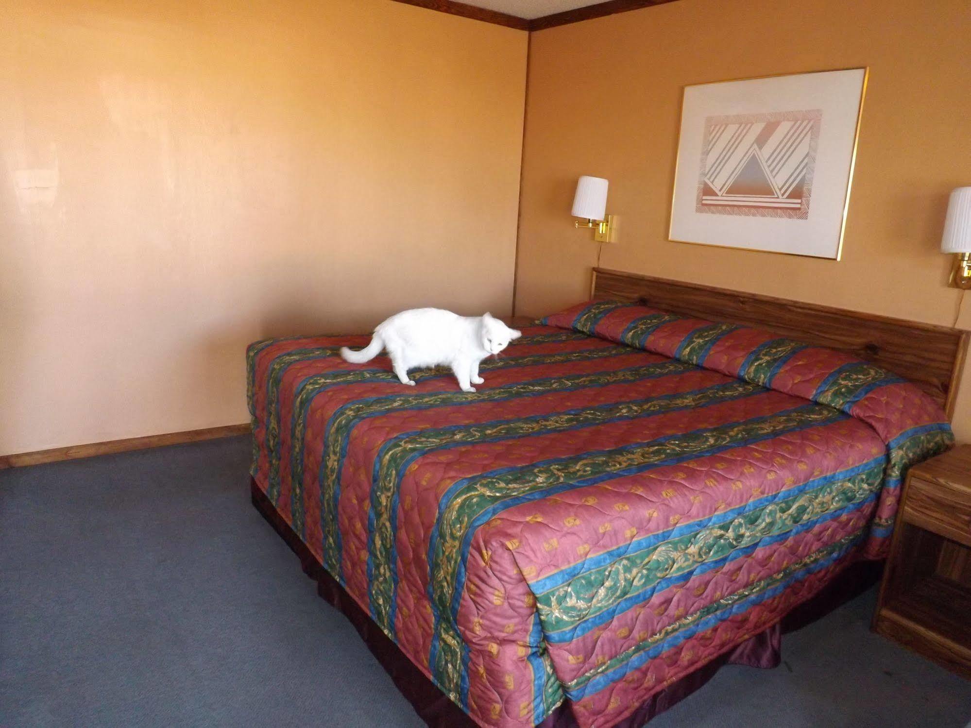 Tristar Inn Xpress Tucumcari Bagian luar foto